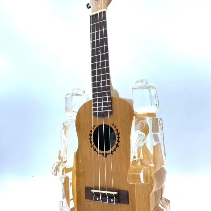 Alter Ego Ukulele 799